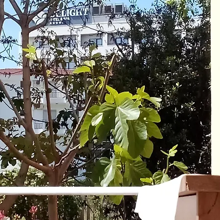 For Rent, Mali I Robit,